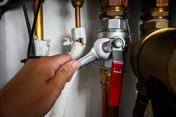 Best Septic Systems  in Blackshear, GA